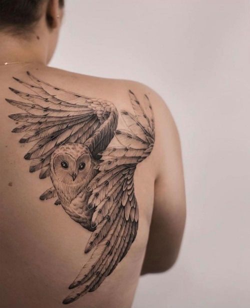 OWL TATTOOS 