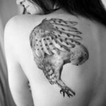 OWL TATTOOS