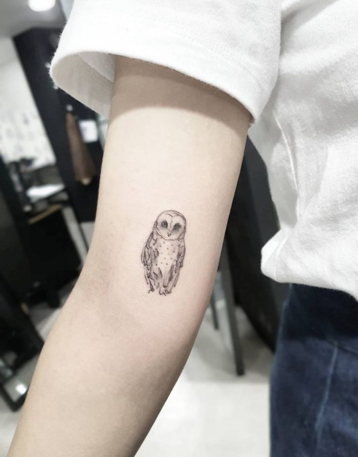 OWL TATTOOS 