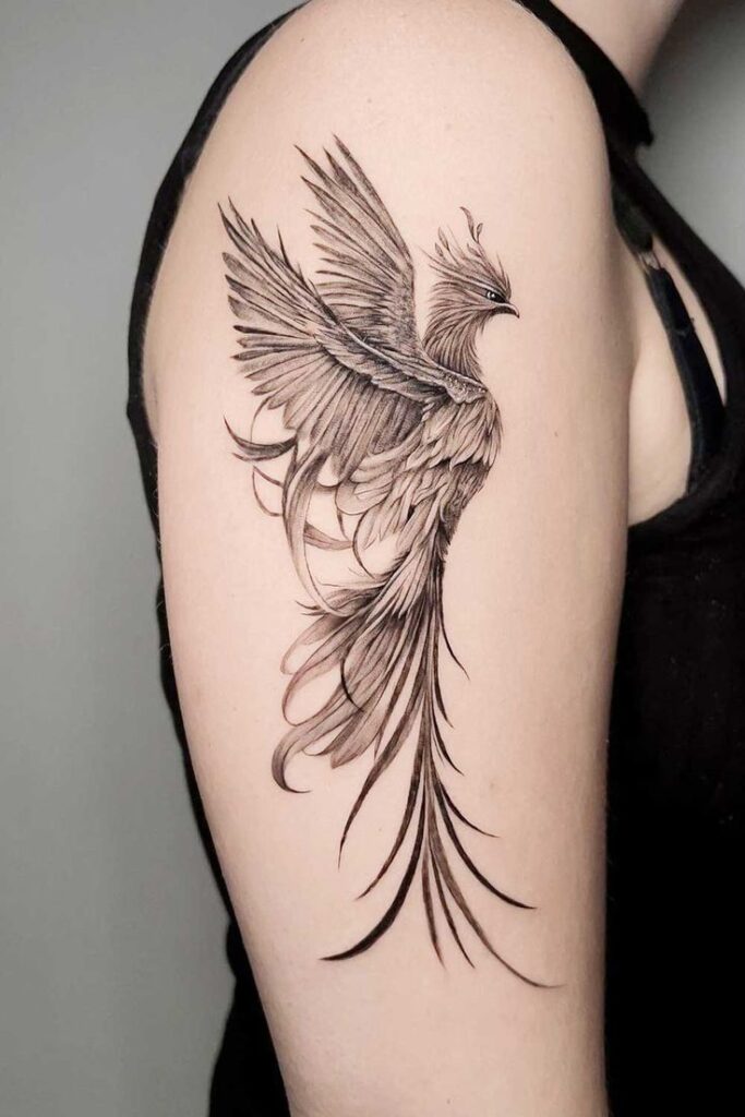 Phoenix Tattoos 